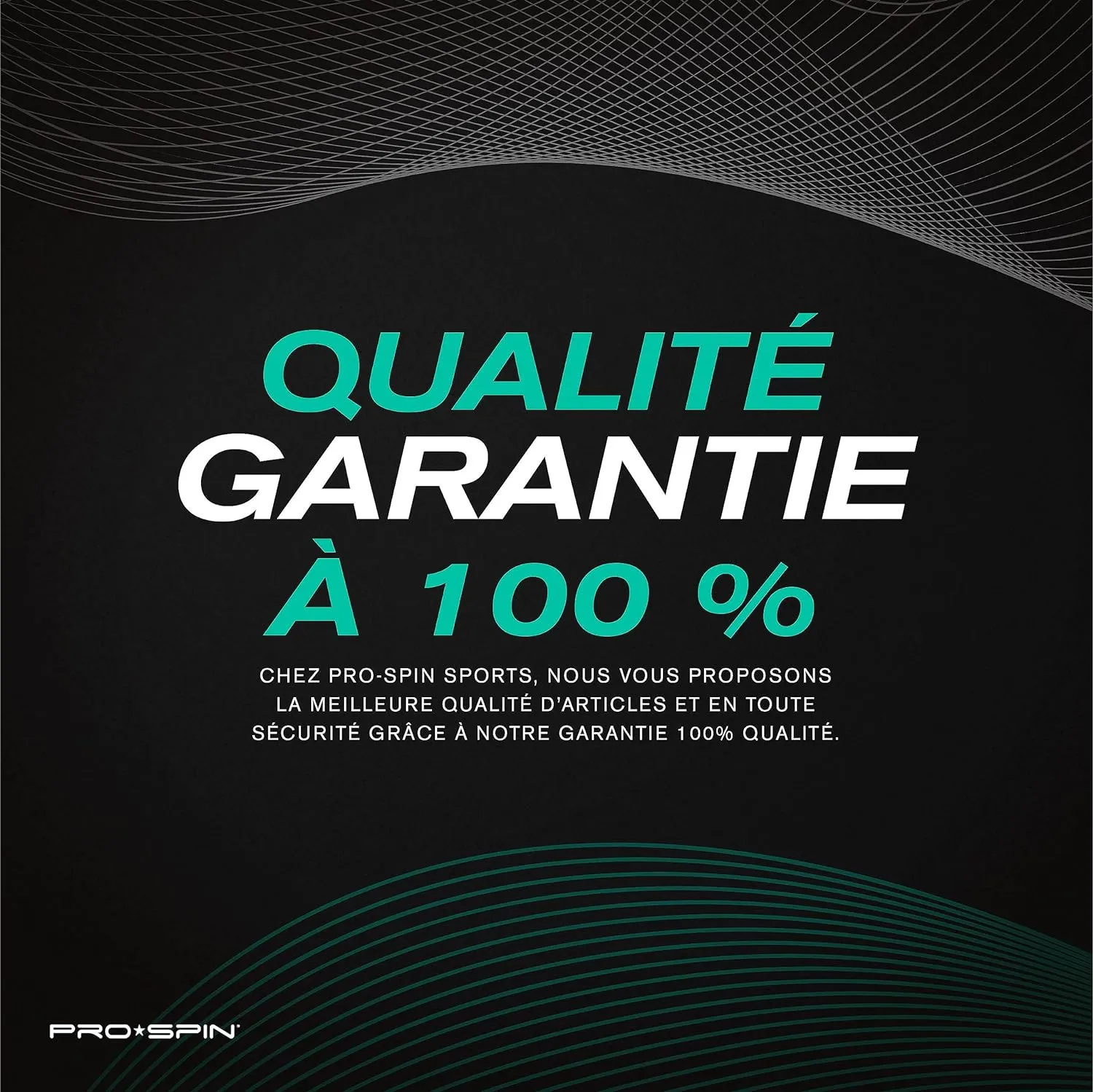 Balles de Ping-Pong PRO SPIN - Fitnessterapy