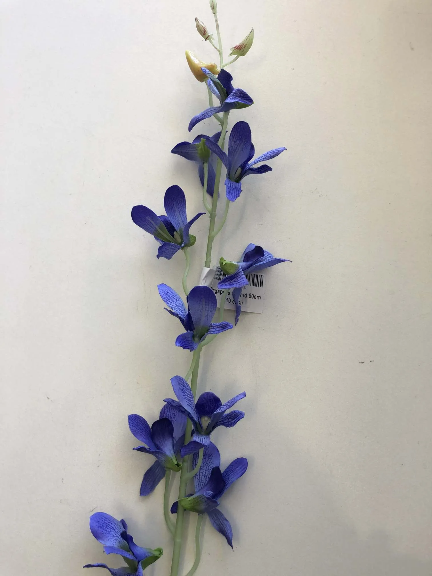 F-RT-5480BL Singpaore Orchid 80cm Purple